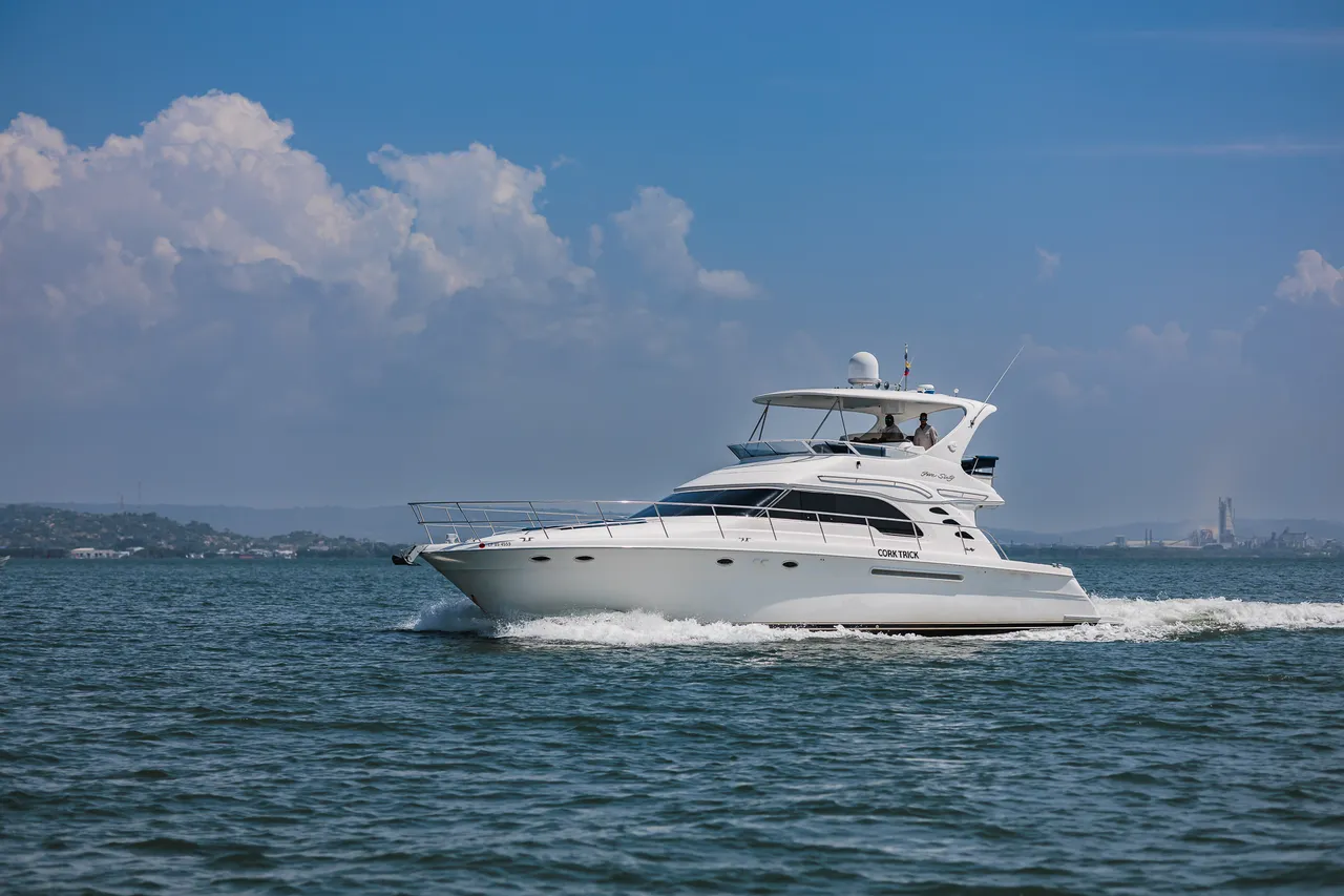 Sea Ray / Cork Trick