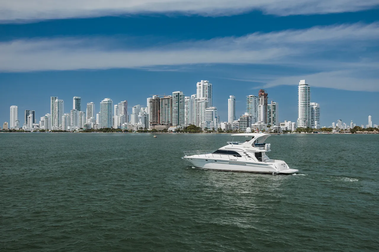 Sea Ray / Cork Trick