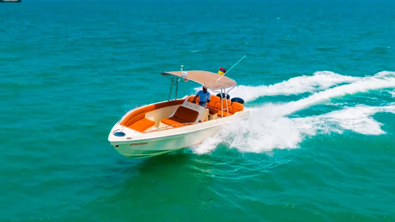 Bote demo Pruebas